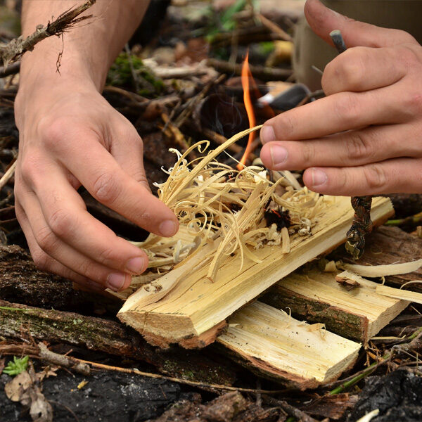bushcraft activity days in schools