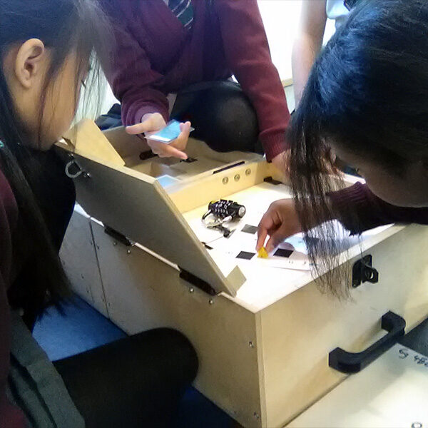 Maths and logic escape room workshop in a primary school